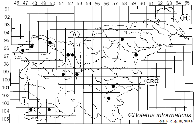 <i>Panaeolus antillarum</i> (Fr.) Dennis (1961)
