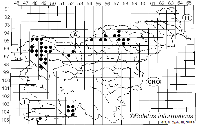 <i>Bryoria fuscescens</i> var. <i>fuscescens</i> (Gyeln.) Brodo & D. Hawksw. (1977)