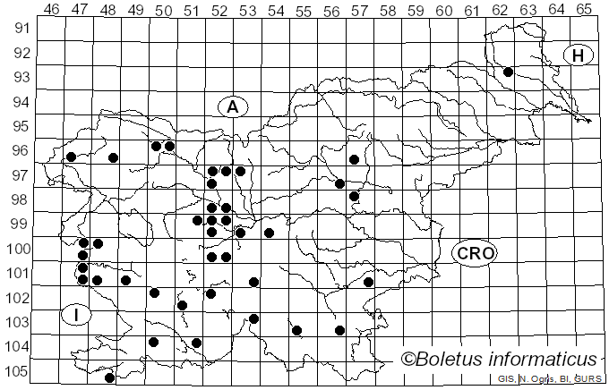 <i>Gymnosporangium</i> R. Hedw. ex DC. (1805)