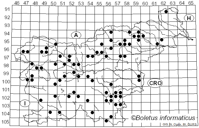<i>Laccaria bicolor</i> (Maire) P.D. Orton (1960)