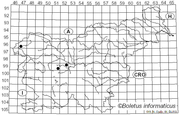 <i>Mycena capillaris</i> (Schumach.) P. Kumm. (1871)