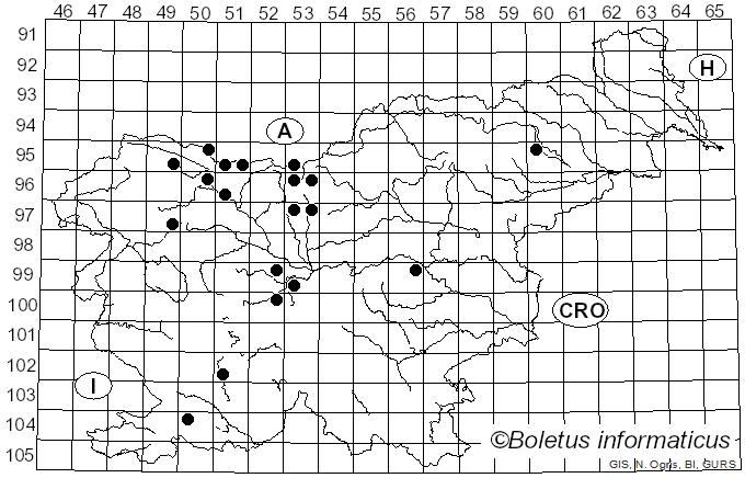 <i>Puccinia coronata</i> Corda (1837)