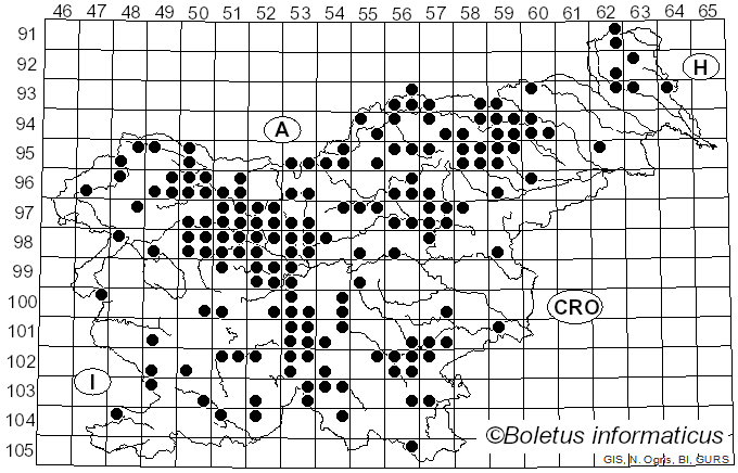 <i>Albatrellus ovinus</i> (Schaeff.) Kotl. & Pouzar (1957)