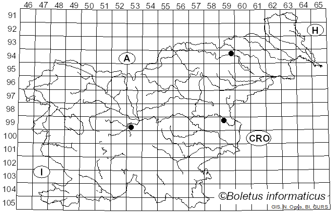 <i>Hygrocybe conica</i> var. <i>conicoides</i> (P.D. Orton) Boertm. (1995)