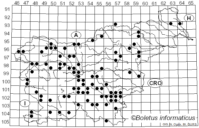 <i>Melanoleuca grammopodia</i> (Bull.) Murrill (1914)