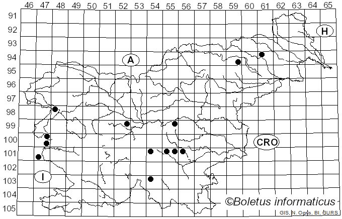 <i>Cortinarius vitellinopes</i> M.M. Moser