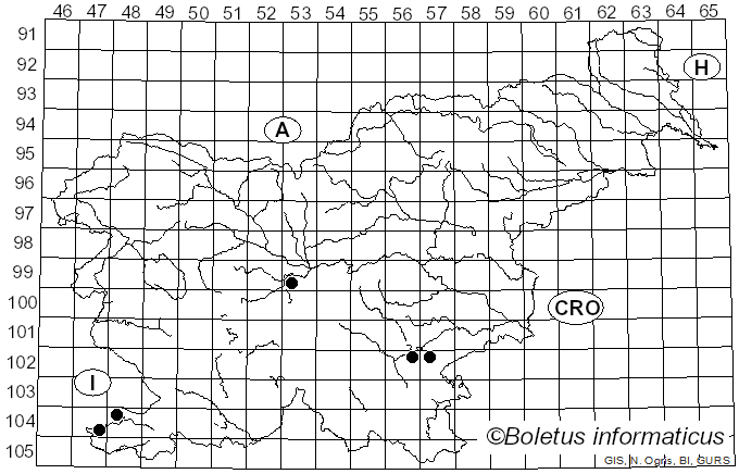<i>Inocutis tamaricis</i> (Pat.) Fiasson & Niemelä (1984)