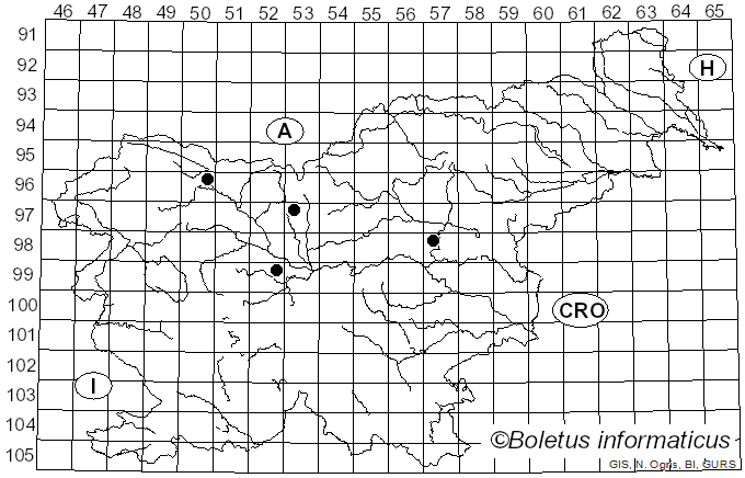 <i>Septoria lamii</i> Sacc. (1878)