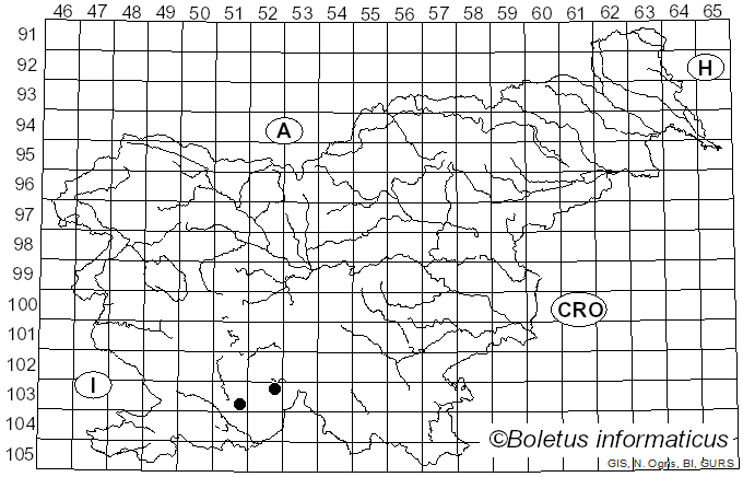 <i>Hypotrachyna</i> (Vain.) Hale (1974)