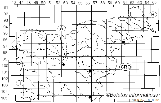 <i>Paraxerula</i> R.H. Petersen (2010)