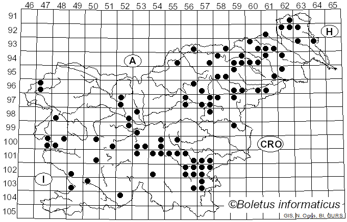 <i>Inocybe asterospora</i> (Quél.) Quél. (1979)