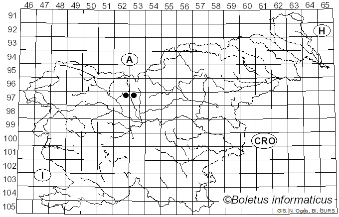 <i>Monilinia baccarum</i> (J. Schröt.) Whetzel (1945)