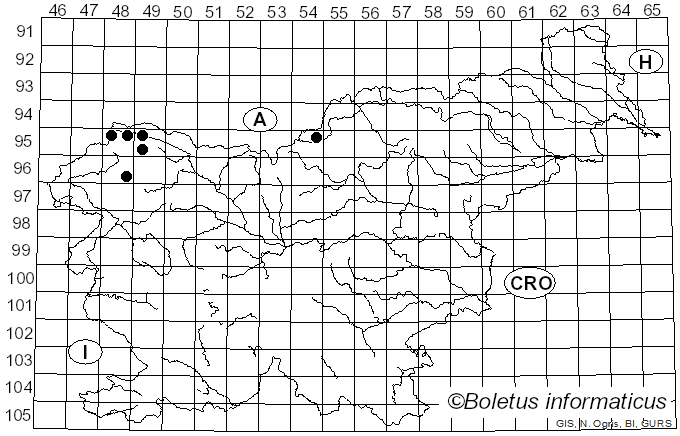 <i>Hypogymnia bitteri</i> (Lynge) Ahti (1964)