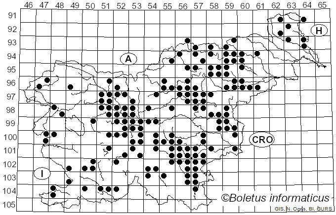 <i>Russula aeruginea</i> Lindbl.