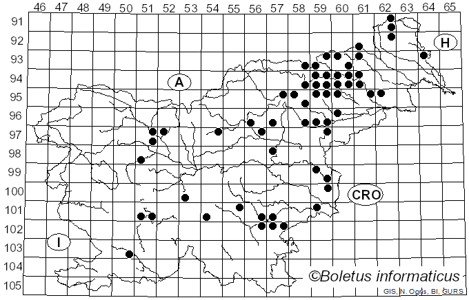 <i>Ramaria fagetorum</i> Schild (1978)