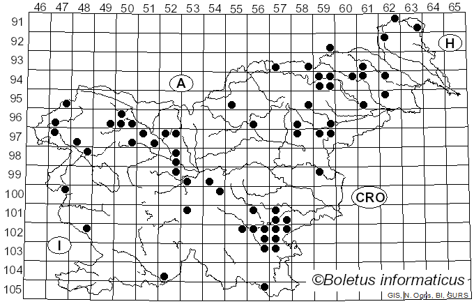 <i>Mucidula</i> Pat. (1887)