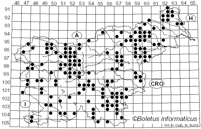<i>Exidia</i> Fr. (1822)