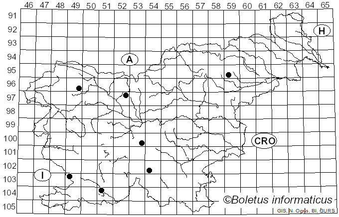 <i>Hypholoma ericaeum</i> (Pers.) Kühner (1936)