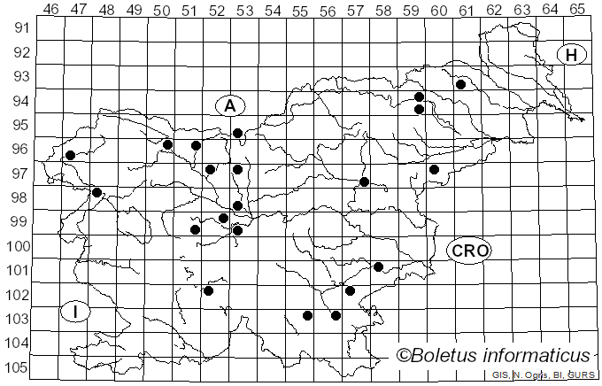 <i>Corticium</i> Pers. (1794)