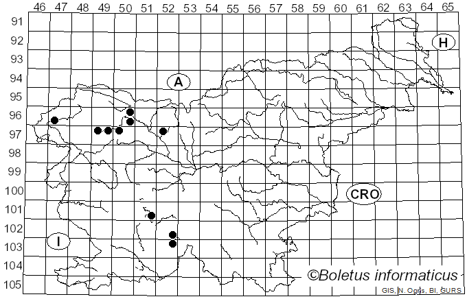 <i>Punctelia</i> Krog (1982)