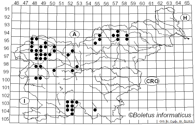 <i>Platismatia glauca</i> (L.) W.L. Culb. & C.F. Culb. (1968)