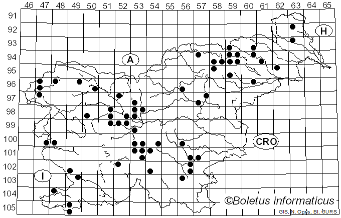 <i>Phellodon niger</i> (Fr.) P. Karst. (1881)