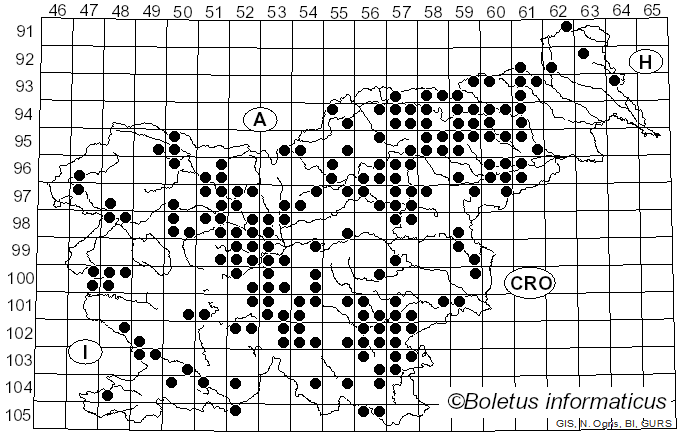 <i>Cantharellus amethysteus</i> Quél. (1887)