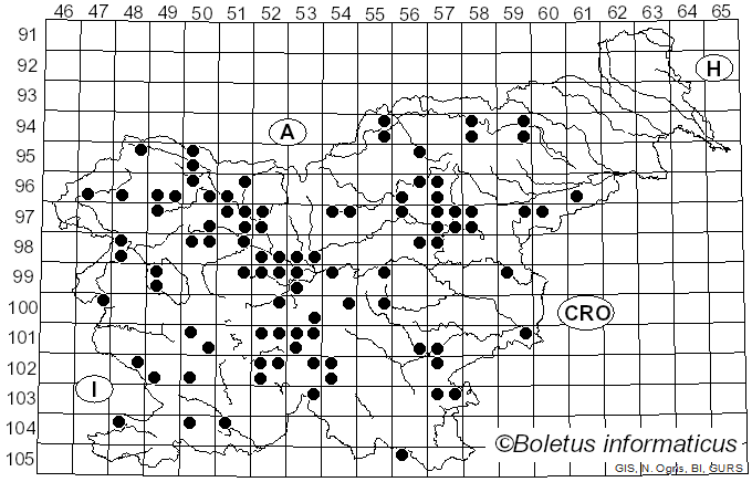 <i>Hygrocybe punicea</i> (Fr.) P. Kumm. (1871)