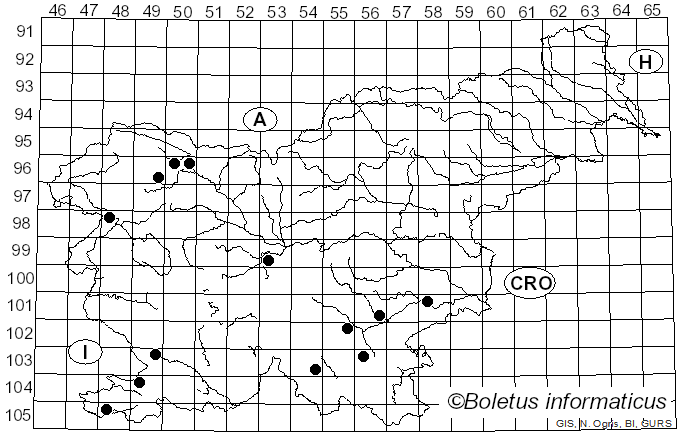 <i>Radulomyces</i> M.P. Christ. (1960)