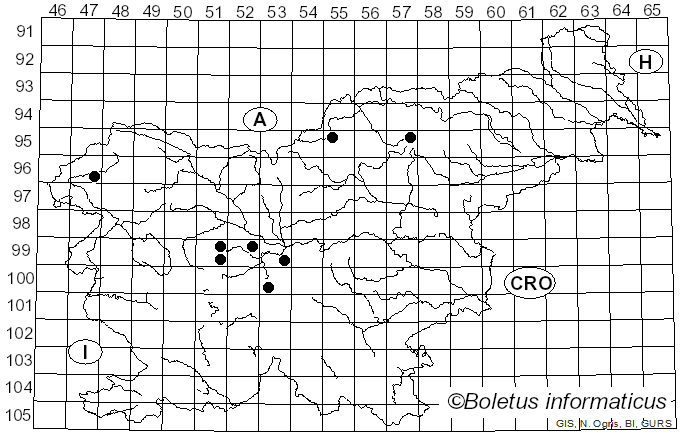 <i>Gremmeniella</i> M. Morelet (1969)