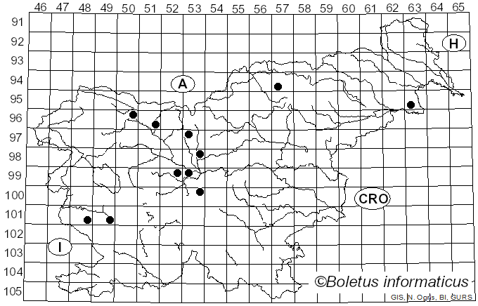 <i>Sphaeropsis</i> Lév. (1842)