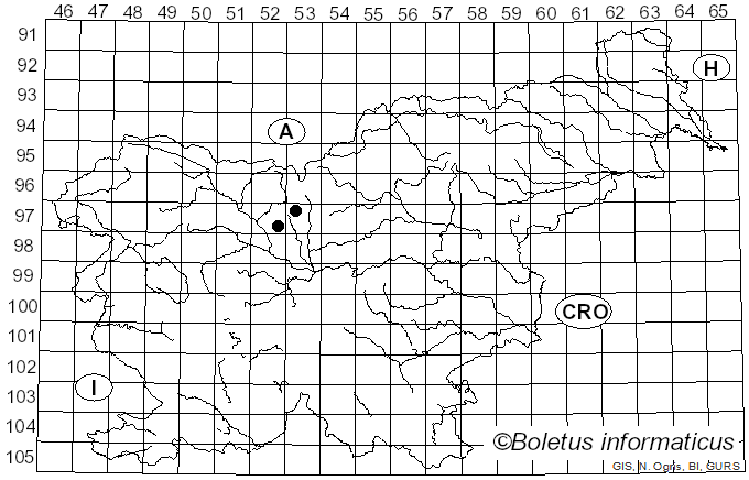 <i>Sclerotium durum</i> Pers. (1794)