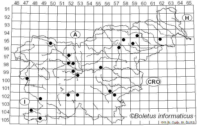 <i>Hebeloma birrus</i> (Fr.) Sacc. (1887)