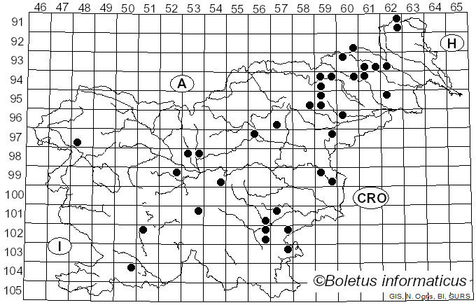 <i>Coprinellus silvaticus</i> (Peck) Gminder (2010)