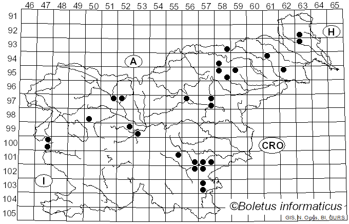 <i>Phaeoclavulina eumorpha</i> (P. Karst.) Giachini (2011)