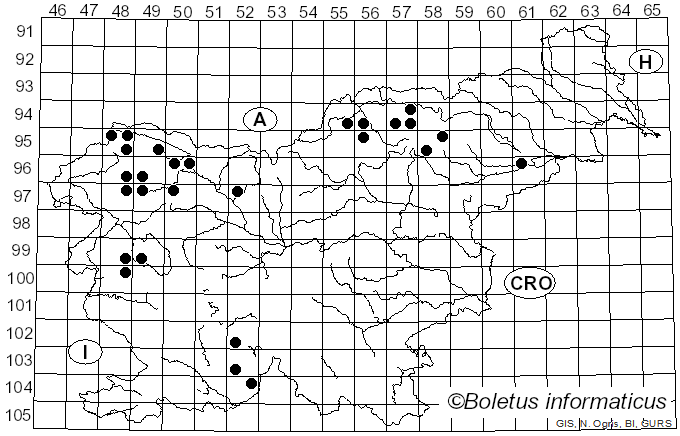 <i>Candelariella xanthostigma</i> (Pers.) Lettau (1912)