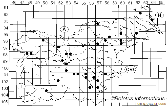 <i>Pterula multifida</i> (Chevall.) Fr. (1863)