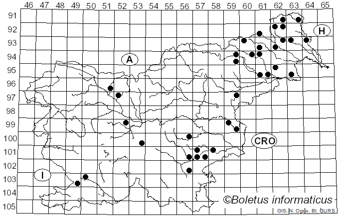 <i>Metuloidea fragrans</i> (A. David & Tortic) Miettinen (2016)