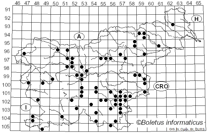 <i>Xerula pudens</i> (Pers.) Singer (1951)
