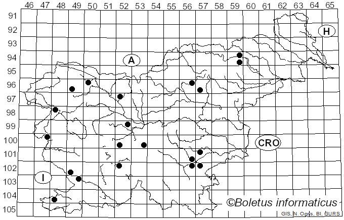 <i>Calonarius cupreorufus</i> (Brandrud) Niskanen & Liimat. (2022)