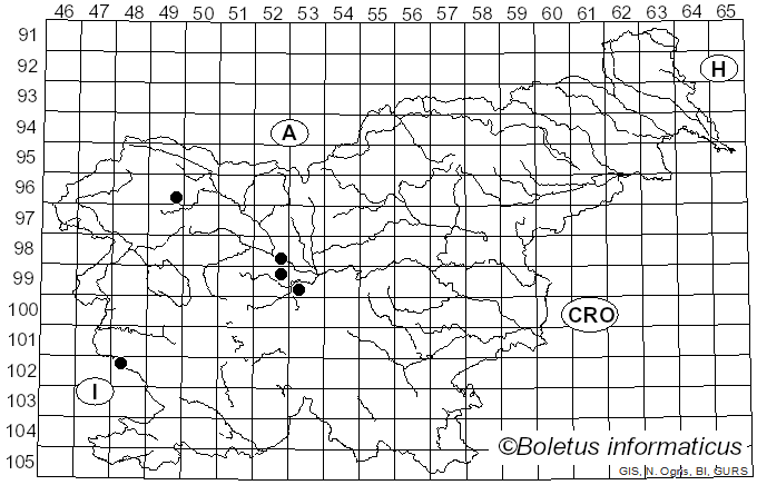 <i>Cladonia rangiformis</i> Hoffm. (1796)