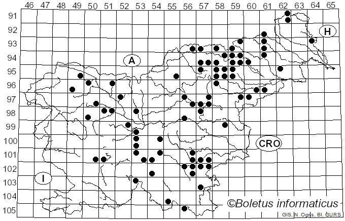 <i>Russula badia</i> Quél. (1880)