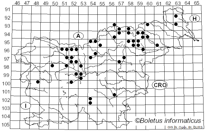 <i>Porphyrellus porphyrosporus</i> (Fr. & Hök) E.-J. Gilbert (1931)