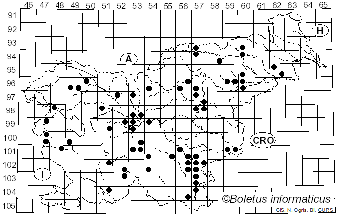 <i>Agrocybe dura</i> (Bolton) Singer (1936)