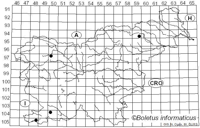 <i>Psathyrella potteri</i> A.H. Sm. (1972)
