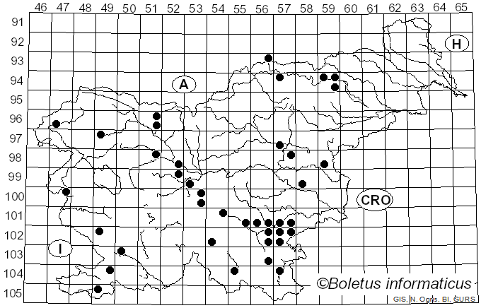 <i>Leucopaxillus tricolor</i> (Peck) Kühner (1926)