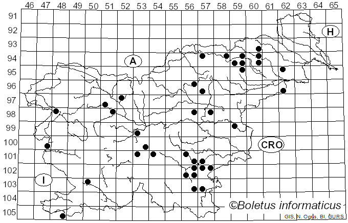 <i>Inosperma maculatum</i> (Boud.) Matheny & Esteve-Rav. (2019)