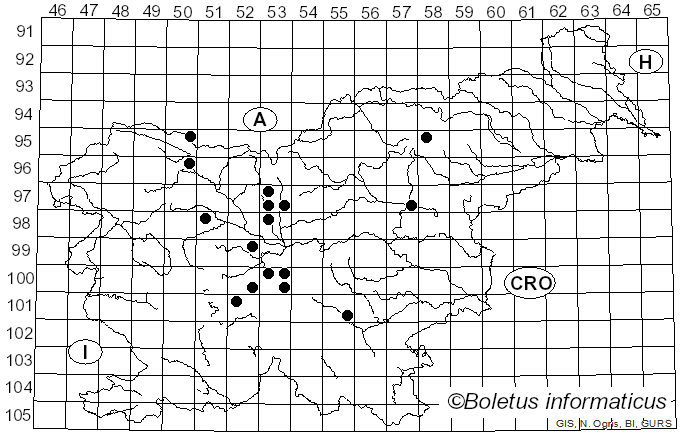<i>Cudoniella</i> Sacc. (1889)