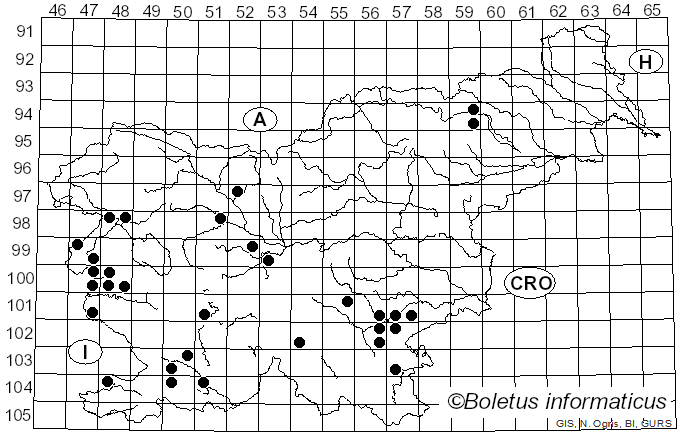 <i>Calonarius arcuatorum</i> (Rob. Henry) Niskanen & Liimat. (2022)