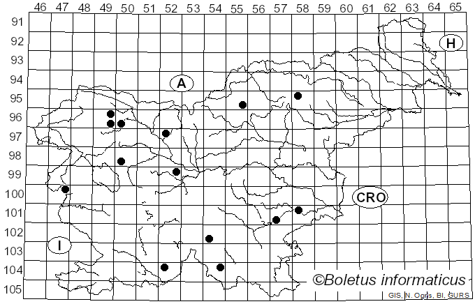 <i>Mallocybe terrigena</i> (Fr.) Matheny, Vizzini & Esteve-Rav. (2019)
